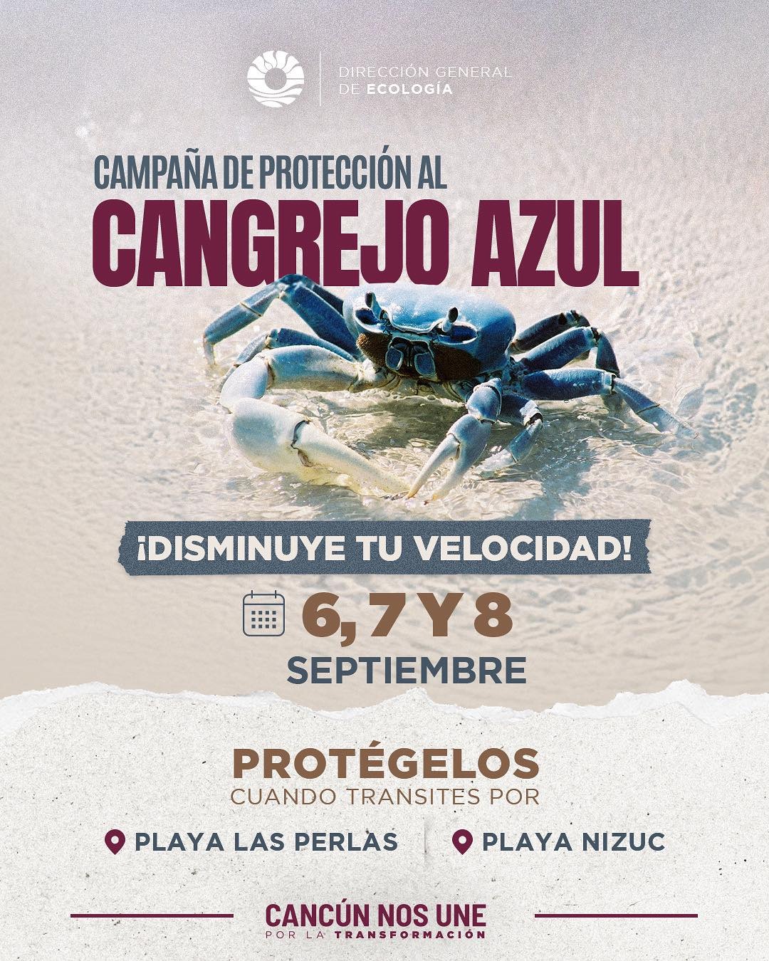 uploads/6/32/01 (2273).Jpeg